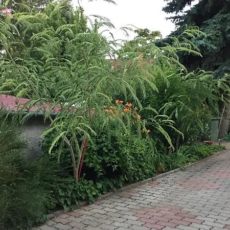 Apartmán Jandi